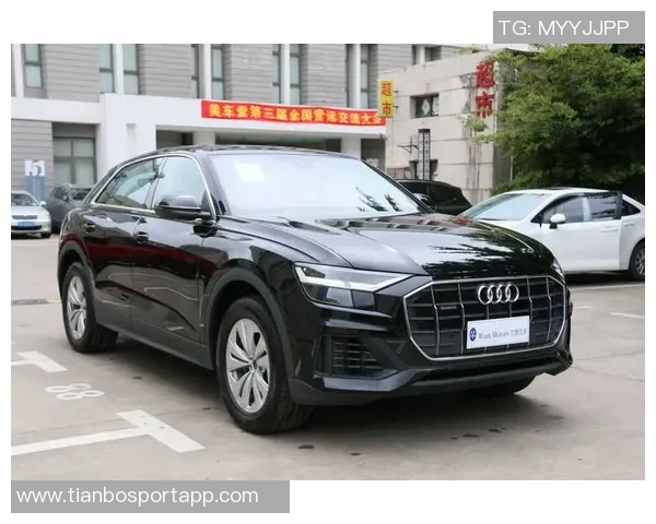 奥迪:在自我探索的旅程中不断接近完美与神性 奥迪:在自我探索的旅程中不断接近完美与神性